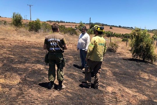 Puchuncaví: Detienen a dos hombres por iniciar incendio tras quemar panal de avispas con soplete