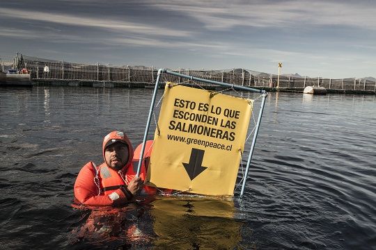 Greenpeace: «Eliminar termoeléctricas en 2030, reducir plástico y detener  salmoneras en el sur son clave para el país”