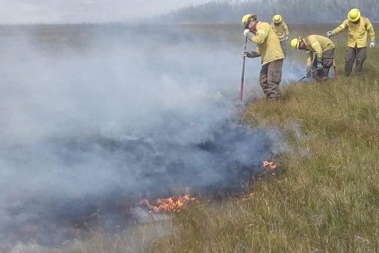 “El cambio climático actuará como nuevo combustible para la propagación de incendios en la Patagonia”