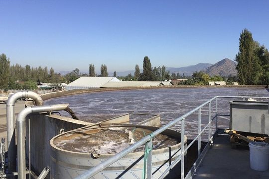 SMA formula cargos en contra de Sugal Chile por contaminación de canal en Región de O’higgins