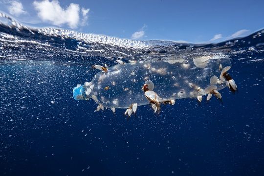 El plástico en los océanos: ¿Dónde está el origen del problema?