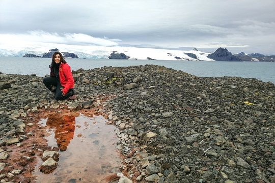 Investigadores de Chile y México estudian diversidad microbiana de suelos antárticos