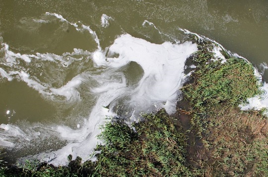 Más de 10 empresas descargan sus residuos en los ríos Damas y Rahue