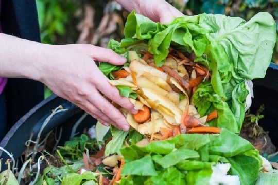 Perder o desperdiciar menos comida  ayudará a conservar el medio ambiente