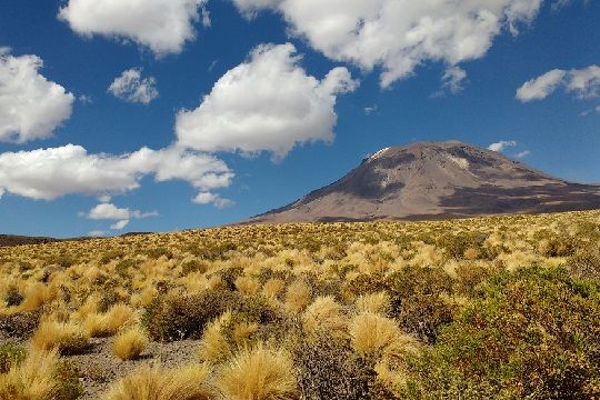 Chile: Un “laboratorio natural” para entender cómo adaptarnos al cambio climático
