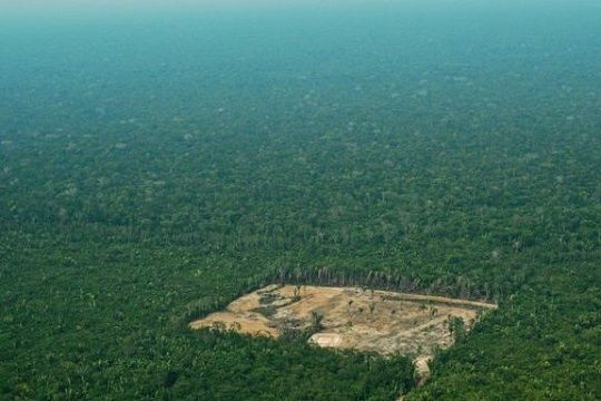 Deforestación en la Amazonía de Brasil creció un 278% en julio