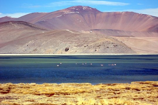 Laguna del Negro Francisco, Atacama.