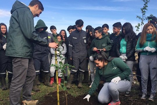 Convocan a jóvenes para realizar arborizaciones comunitarias