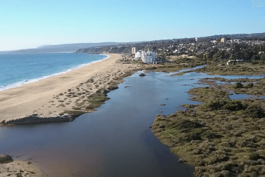 Comunidad se une en defensa del último tramo libre de edificaciones de playa de Algarrobo Norte