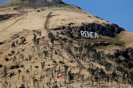 30 mil árboles: Cerro Renca será el beneficiario de la reforestación más grande de Chile
