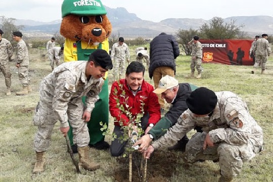 Conaf y Ejército plantarán 100 mil árboles desde Arica a Punta Arenas