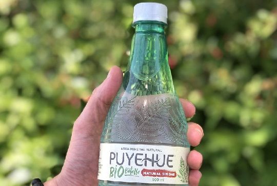 Empresa chilena lanza al mercado innovadora botella compostable hecha de plantas