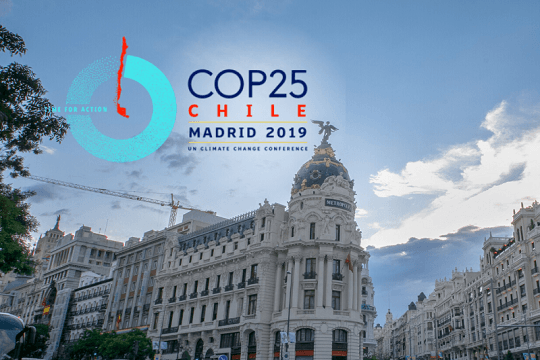 WWF Chile lanza postulación para que sociedad civil pueda viajar a la COP25
