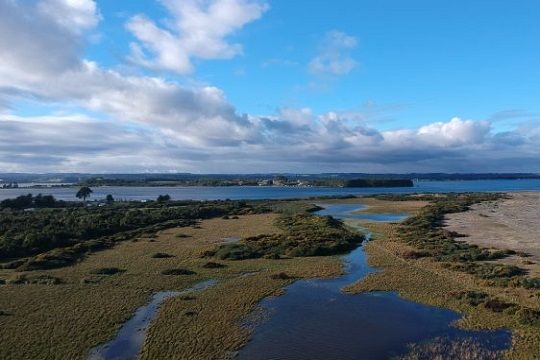 Humedales de río Maipo y Maullín serán Santuario de la Naturaleza - CodeXVerde