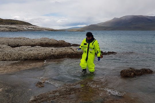 Científicos chilenos y mexicanos estudian estromatolitos en Magallanes para observar efectos del cambio climático