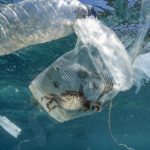 GP0STT3FE_High_res-compressor