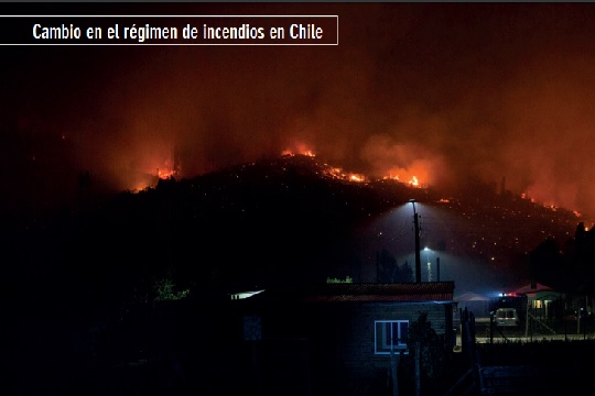 Revisa el informe «Incendios en Chile: causas, impactos y resiliencia»