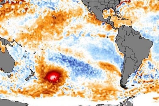 Análisis: la “mancha cálida” del océano Pacífico y olas de calor en Chile