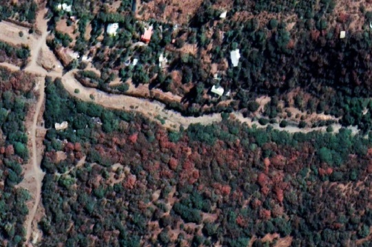 Imágenes de Google Earth demuestran que el bosque nativo de la RM se están secando rápidamente