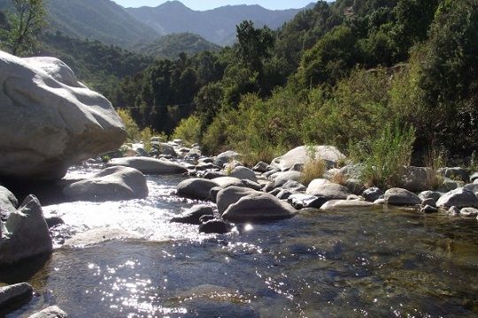 Conaf cerró la Reserva Nacional Río Clarillo por todo febrero