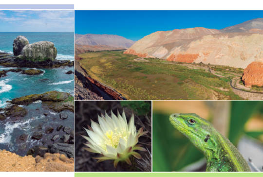 Revisa el Sexto Informe Nacional de Biodiversidad del Ministerio del Medio Ambiente