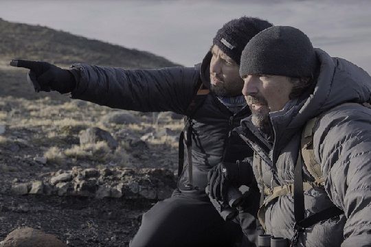 En marzo comienza Santiago Wild, el primer festival de cine sobre vida salvaje y medio ambiente en Chile
