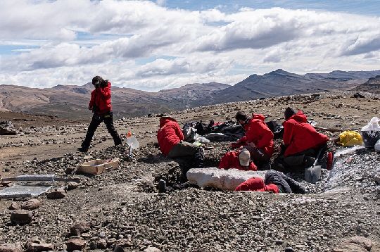 Cerro Guido se consolida como la piedra Rosetta de la paleontología