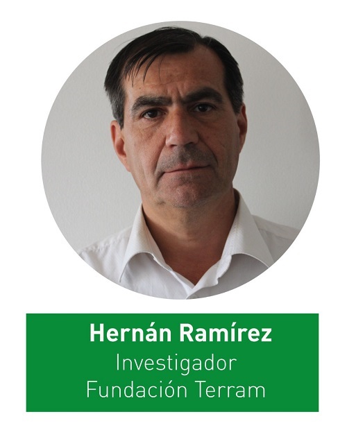 Hernán Ramírez1