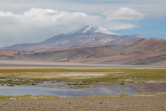 Invitan a la ciudadanía a participar en el plan regional para el cambio climático de Atacama