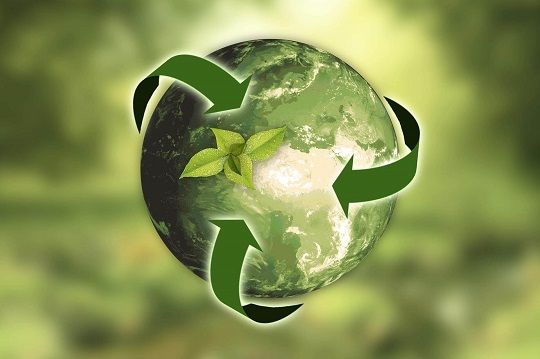 Inscríbete para el webinar por el Día Internacional del Reciclaje de Codexverde y UDLA