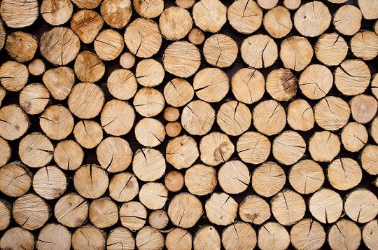 Industria de la madera del Maule trabaja en Acuerdo de Producción Limpia