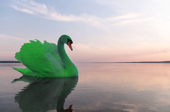 Tenemos que anticiparnos a los efectos del “Cisne Verde”