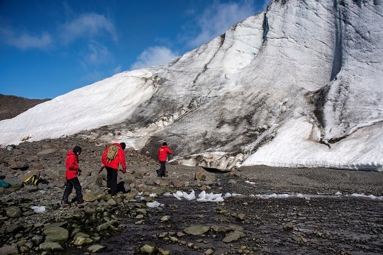 Investigan impactos del calentamiento global en suelos de la Antártica