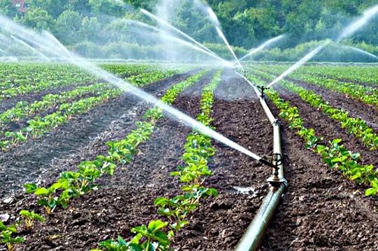 La agricultura es agua: Los desafíos productivos y ecosistémicos de la próxima década