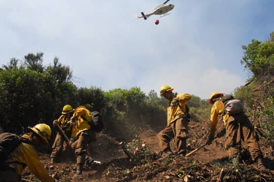 A toda marcha: Conaf trabaja en realización de cortafuegos ante llegada de temporada de incendios forestales