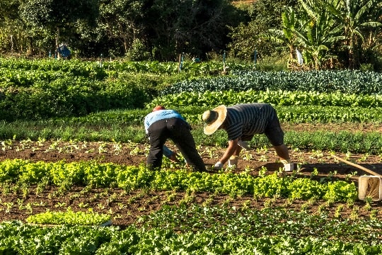 Nuevo APL aumentará estándares de producción agroecológica en San Nicolás