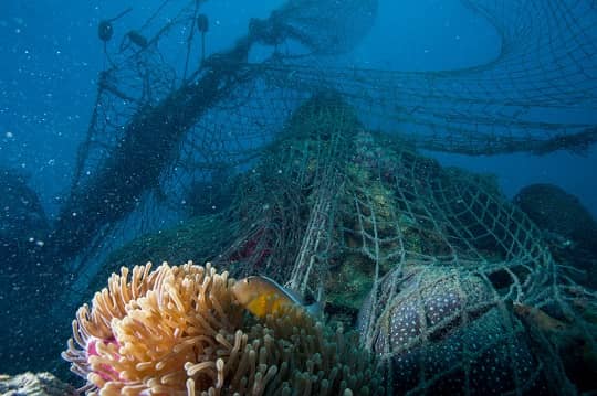 Lanzan campaña mundial para combatir contaminación marina por plásticos y frenar impacto de las “redes fantasmas”