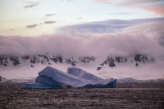 Fracasa acuerdo para crear un Área Marina Protegida en la península Antártica