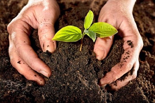 El compostaje: La gran mejora para los suelos