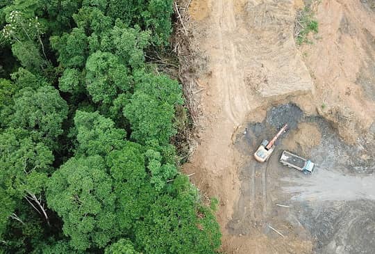 Deforestación global avanza en 24 frentes. Nueve están en América Latina