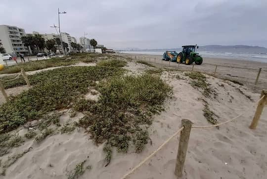 Empresarios turísticos se unen a proyecto para proteger dunas costeras de La Serena y Coquimbo