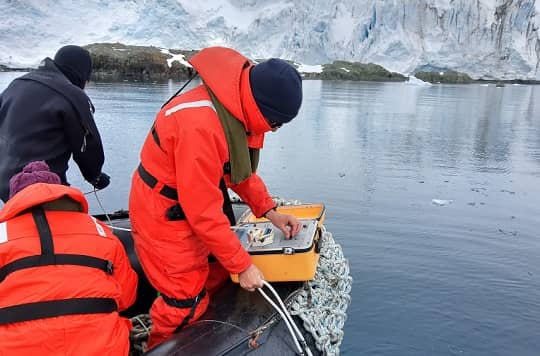 Ciencia en tiempos de pandemia: testimonios de investigadores antárticos