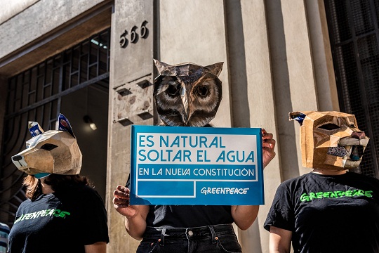 Encuesta Greenpeace: 96% cree que los constituyentes deben ser claros y explícitos respecto al medio ambiente