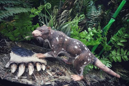 Descubren nuevo mamífero de la Era de los Dinosaurios en la Patagonia chilena