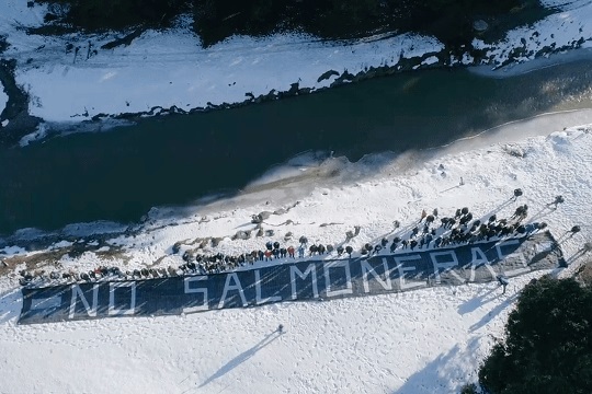 Histórico fallo: Argentina prohíbe la salmonicultura en Tierra del Fuego