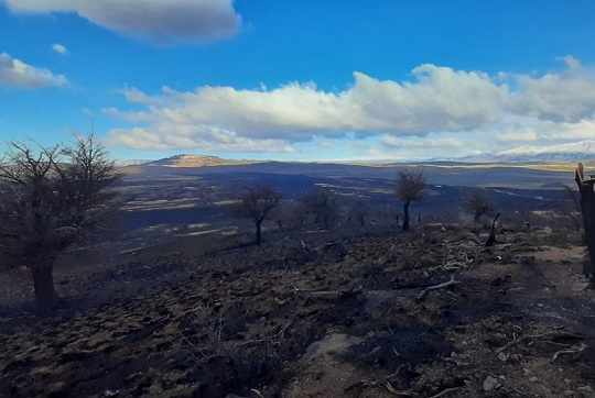 Incendio en Parque Nacional Patagonia afectó más de 1.200 hectáreas