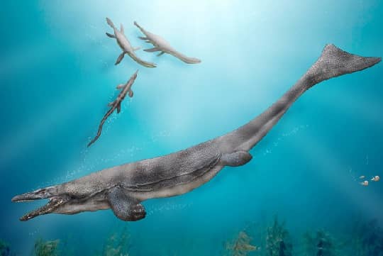 Descubren en Chile un tipo de mosasaurio que habitó zona central hace 66 millones de años