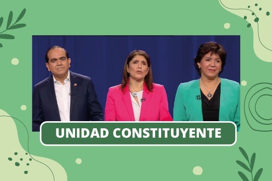 Consulta Ciudadana: Las propuestas ambientales de los candidatos de Unidad Constituyente