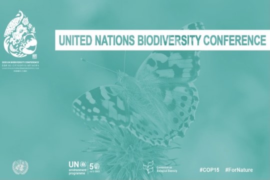 COP15 sobre biodiversidad: la otra COP clave para el futuro del mundo