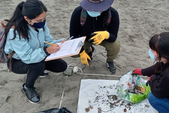 Chilenos lideran programa de ciencia ciudadana latinoamericano que investigará basura marina en océano Pacífico